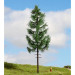 Arbre Epicéa, hauteur 23 cm "Noch Master" - NOCH 20197