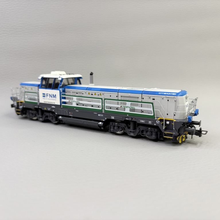 Locomotive diesel 744 019, FNM / TRENORD - RIVAROSSI HR2924S