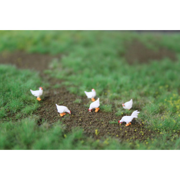 5 poules et un coq Leghorn de bassecour - VAN PETERGEM SCENARY HOK12 - 1/87