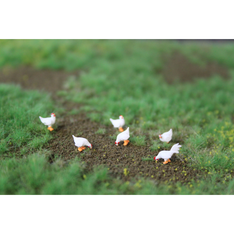 5 poules et un coq Leghorn de bassecour - VAN PETERGEM SCENARY HOK12 - 1/87