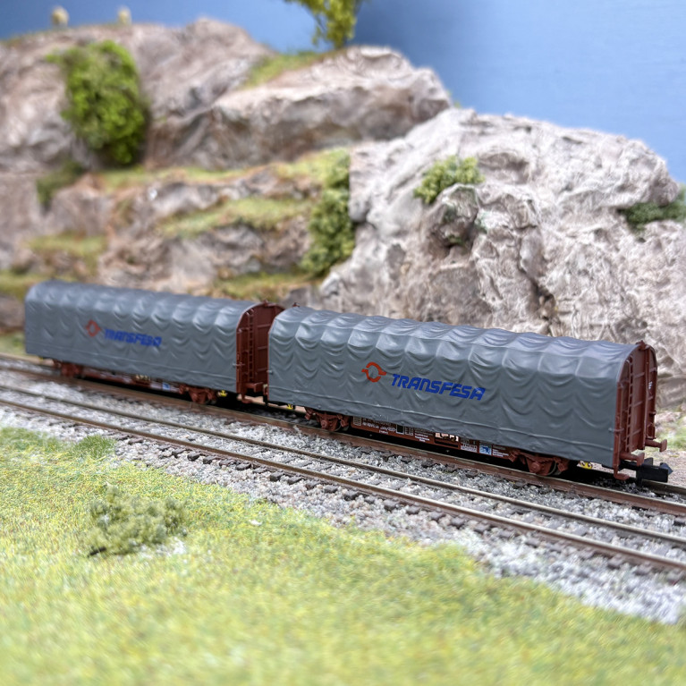 2 wagons bâchés type Lis K70, "Transfesa", RENFE, Ep. V - ARNOLD HN6711 - N 1/160
