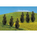6 PREMIUM Thuyas  - Faller 181229 - HO 1/87, TT 1/120, N 1/160