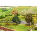 5 Arbres PREMIUM, petits, assortis - Faller 181172 - TT 1/120, N 1/160