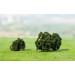 5 haies de mûrier PREMIUM - Faller 181233 - HO 1/87, TT 1/120, N 1/160