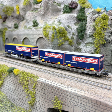Wagon articulé double poche, Sdggmrs 738 / T3000e, "Transco", Hupac, Ep. VI - ROCO 6600113 - HO 1/87