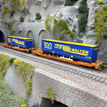 2 wagons poches type Sdgnss/T5, "Walter", Wascosa, Ep. VI  - ROCO 6600064 - HO 1/87