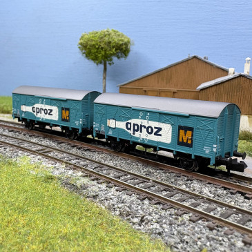 2 wagons couvert type K4, 2 essieux, "APROZ", SBB, Ep. III - ARNOLD HN6683 - N 1/160