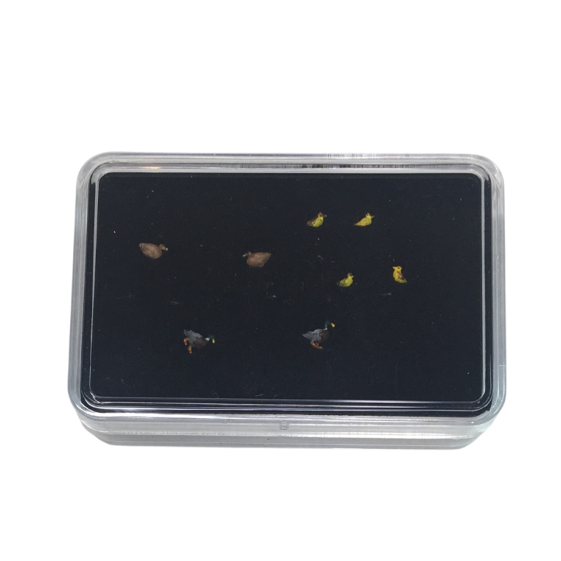 Famille de Canards colverts peint à la main par Geke - Van Petegem Scenary H0K37 - HO 1/87