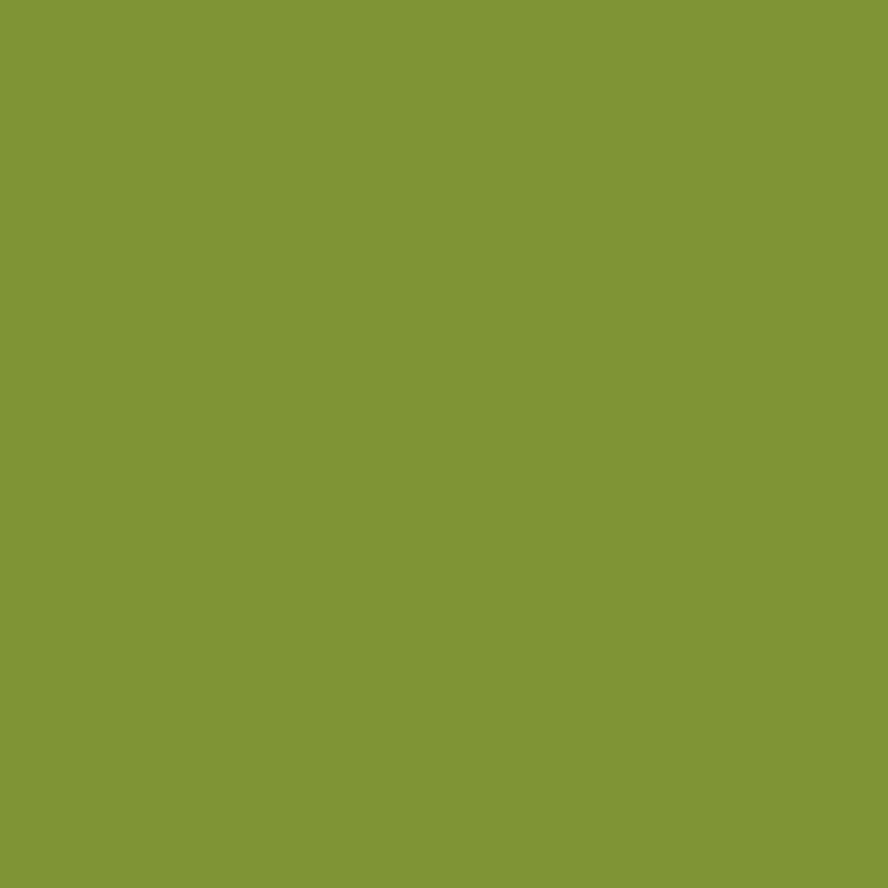 Vert Citron N°91 - 18ml Model Color - VALLEJO 70.827
