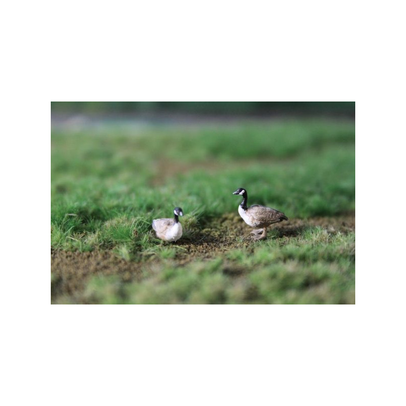 Bernaches du Canada peint à la main par Geke, 3x pièces - Van Petegem Scenary H0K38 - HO 1/87