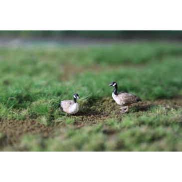 Bernaches du Canada peint à la main par Geke, 3x pièces - Van Petegem Scenary H0K38 - HO 1/87