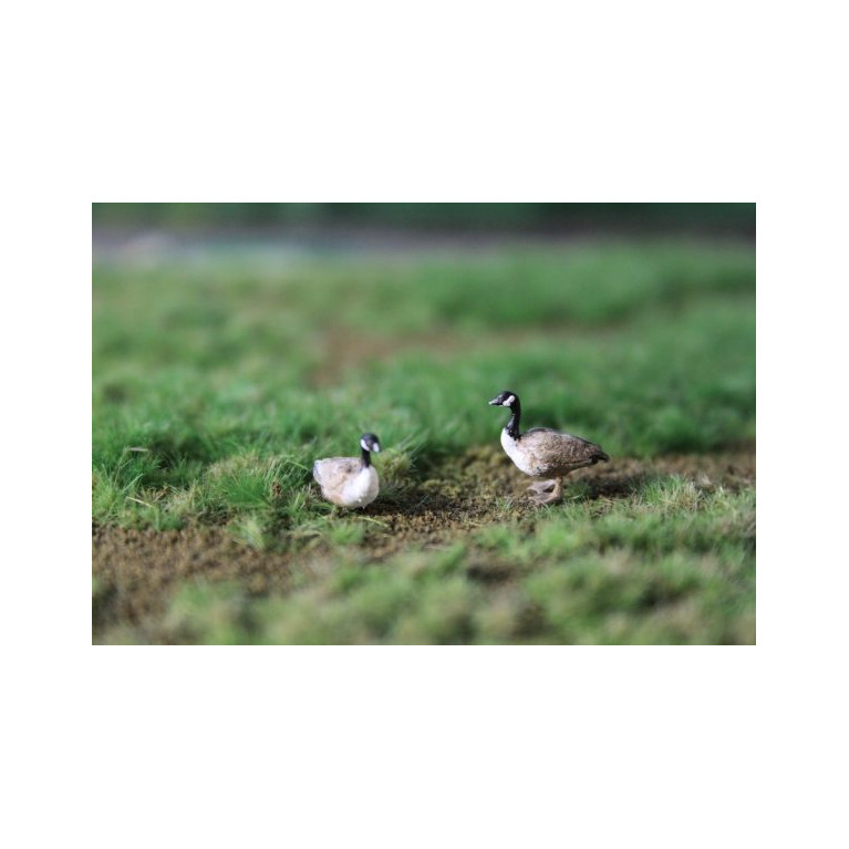 Bernaches du Canada peint à la main par Geke, 3x pièces - Van Petegem Scenary H0K38 - HO 1/87