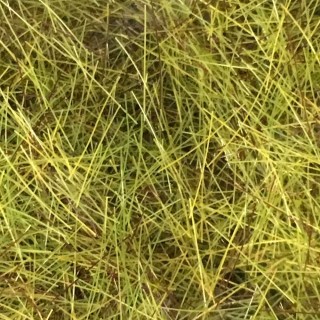 Flocage herbes de printemps 10mm sachet 50g- Toutes échelles-HEKI 3376
