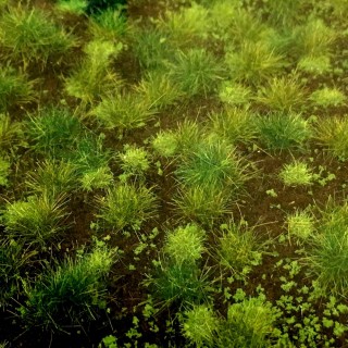 Tapis d'herbe structurée vert foncé 190 par 300mm- Toutes échelles-HEKI 1883