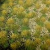 Tapis d'herbe structurée couleur d'automne 190 par 300mm- Toutes échelles-HEKI 1881