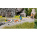 Coffret de figurines Funny scenes : Rencontre entre chiens - NOCH 16602 - HO 1/87 Coffret de figurines Funny scenes : Rencontre entre chiens - NOCH 16602 - HO 1/87