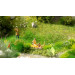 Coffret de figurines Funny scenes : voyeur - NOCH 16607 - HO 1/87