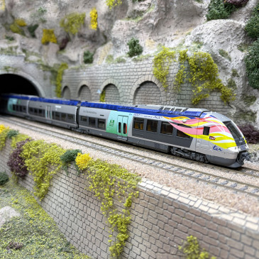 Automotrice AGC X 76603 / 76604, TER Picardie, SNCF, Ep. V et VI - LSMODELS 10072 - HO 1/87
