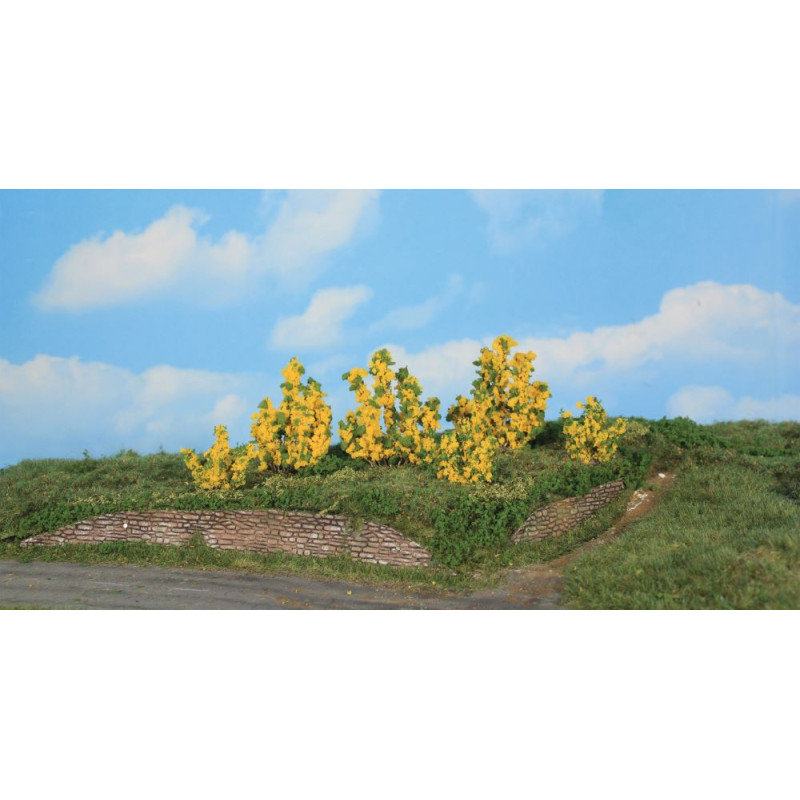 6 buissons de forsythia, 3-6 cm - HEKI 11800