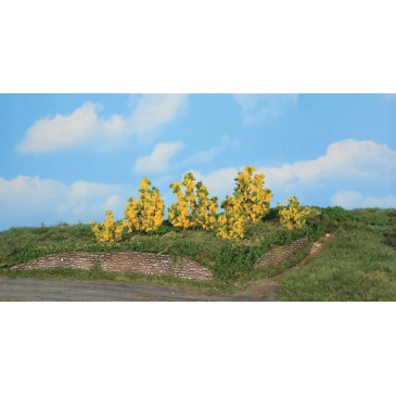 6 buissons de forsythia, 3-6 cm - HEKI 11800