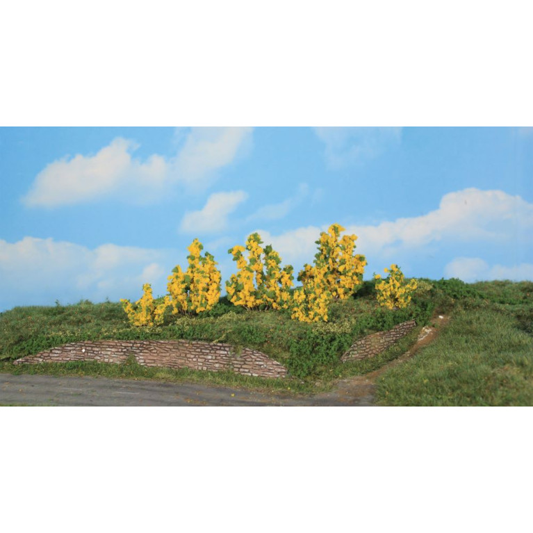 6 buissons de forsythia, 3-6 cm - HEKI 11800