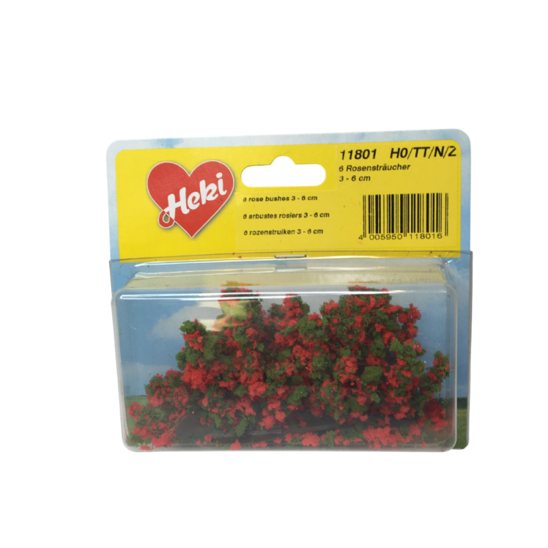 6 rosiers, 3-6 cm - HEKI 11801