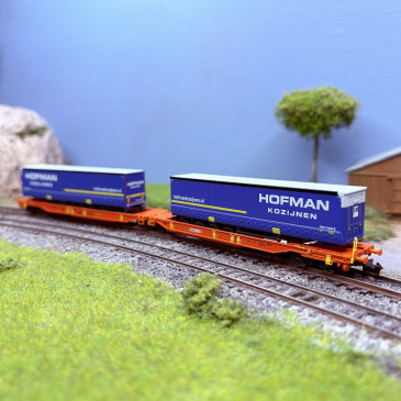 Wagon double poche type Sdggmrs T2000, "Hofman", Wascosa, Ep. VI  - FLEISCHMANN 6660118 - N 1/160