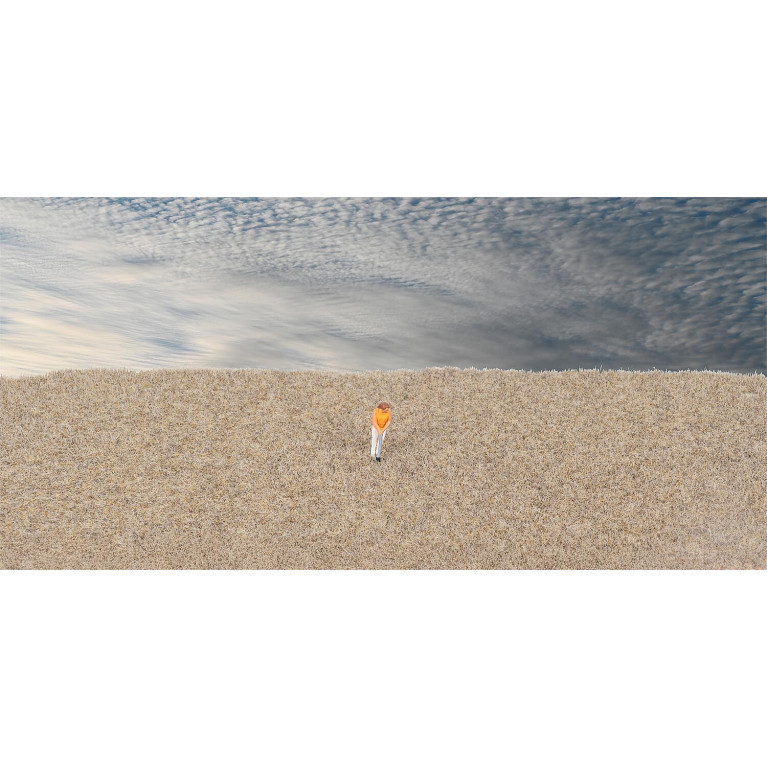 Fibres à saupoudrer, herbe d'hiver, 2-3mm, 35g - FALLER 170200 - HO 1/87