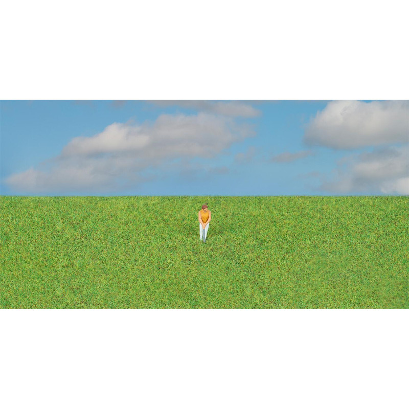 Fibres à saupoudrer, vert gazon, 4mm, 30 g - FALLER 170211 - HO 1/87