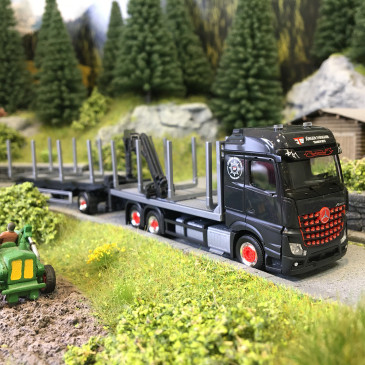 Mercedes Benz, Arocs '18 Bigspace, camion transport de bois, Jürgen Ehrmann Transporte - HERPA 320078 - HO 1/87