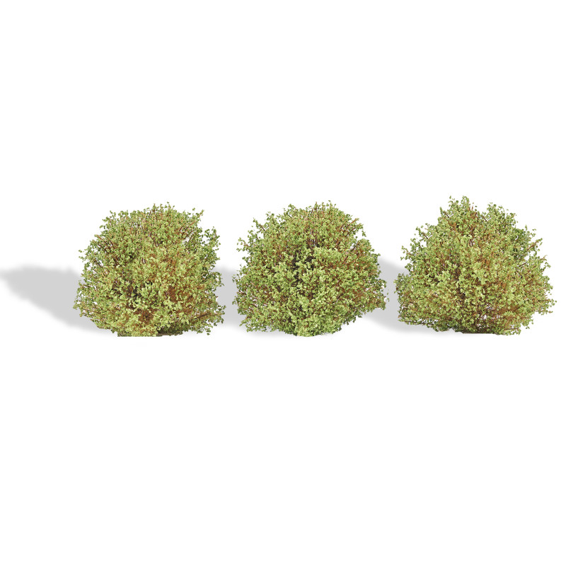 3 Buissons, printemps - BUSCH 3606 - HO 1/87