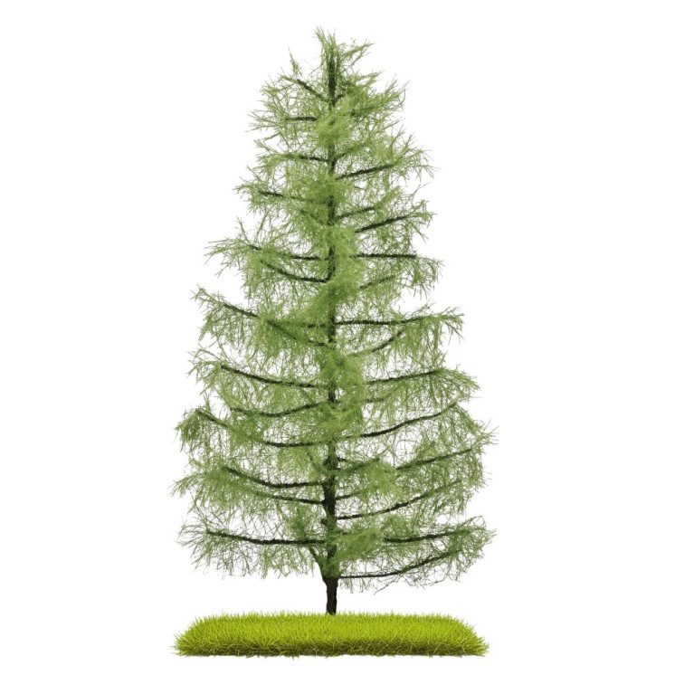 Mélèze, 210mm - BUSCH 3813 - HO 1/87