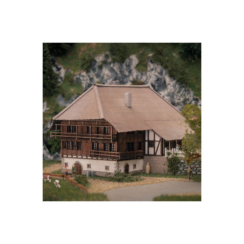 Modèle anniversaire, Ferme de la Forêt-Noire - Faller 282784 - Z 1/220