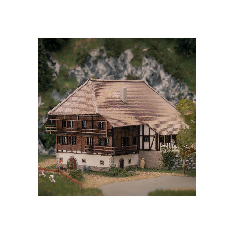 Modèle anniversaire, Ferme de la Forêt-Noire - Faller 282784 - Z 1/220