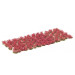 Grappe de fleur, rouge - FALLER 171385