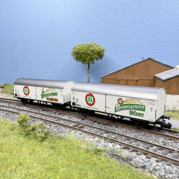 Coffret 2 wagons frigorifiques 2 essieux Wernesgrüner DR, Ep. IV - ARNOLD HN6749 - N 1/160