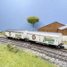 Coffret 2 wagons frigorifiques 2 essieux Wernesgrüner DR, Ep. IV - ARNOLD HN6749 - N 1/160