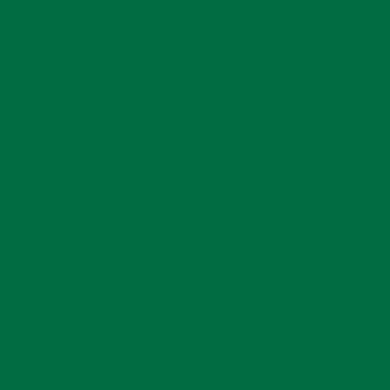 Vert Basique - 200ml Opaque Premium Color - VALLEJO 63.013
