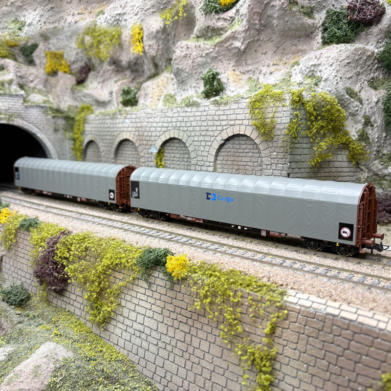 Coffret 2 wagons à bâche coulissante type Rils-y ČD Cargo, Ep. VI - ROCO 6600159 - HO 1/87