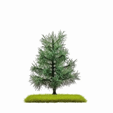 Sapin, 80 mm, 2 pièces - BUSCH 3801 - HO 1/87
