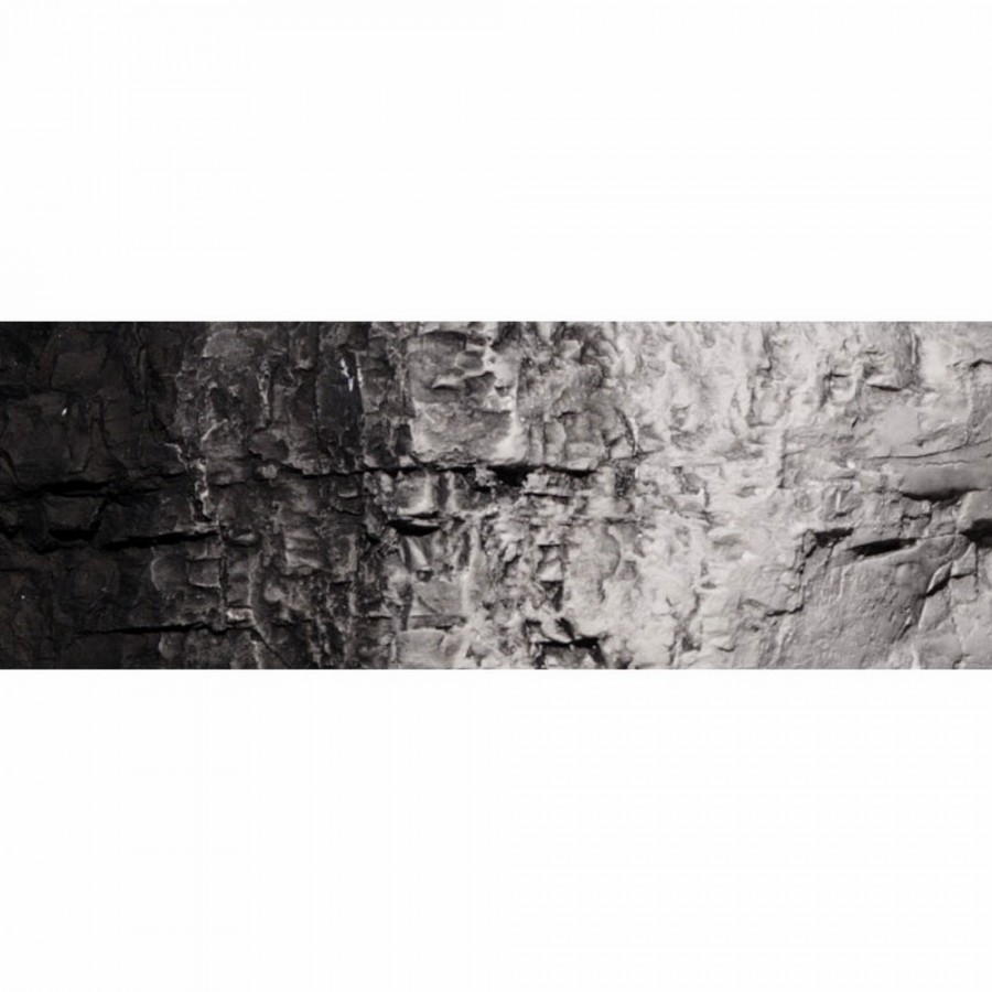 Sous-couche décor noir pour diorama 118ml -WOODLAND SCENICS C1220