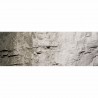 Sous-couche décor gris pierre pour diorama 118ml -WOODLAND SCENICS C1218