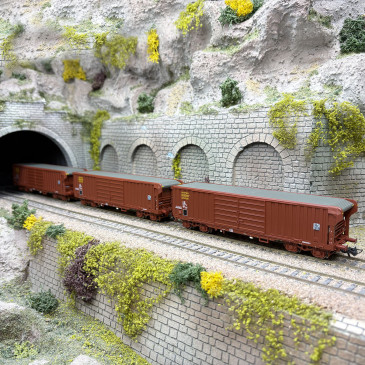 Coffret 3 wagons à toit roulant, type Taems, SNCF, Ep. IV, ROCO 6600285, HO 1/87