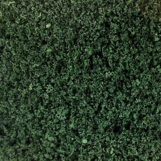 Feuillage vert de pin 200ml-HO et N- HEKI 1563