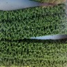 3 haies flexibles vertes foncées pour diorama -HO et N- HEKI 1187