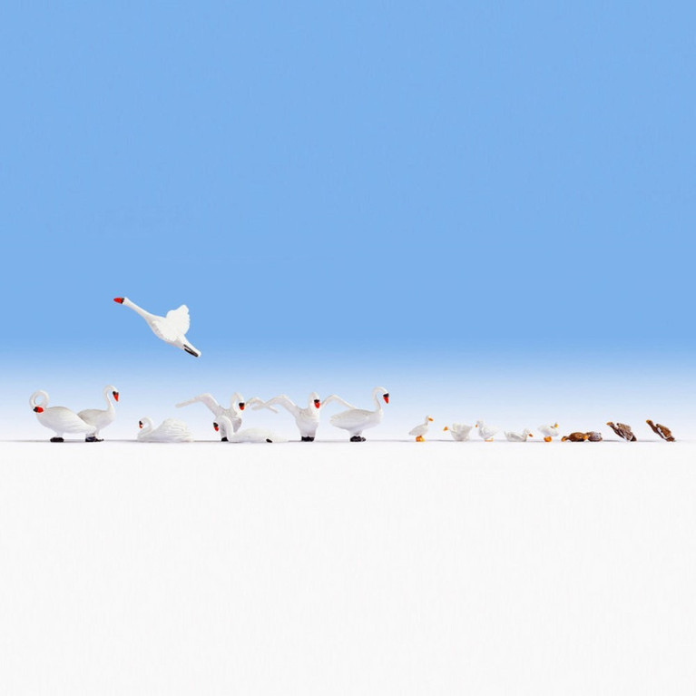 17 cygnes et canards  -HO-1/87-NOCH 15774