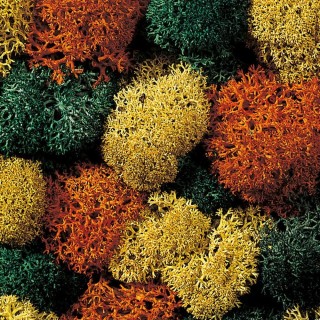 Lichen mousse coloris d'automne 35g - Toutes échelles-NOCH 08630