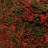 Tapis de fleurs rouges - Toutes échelles-AUHAGEN 76932