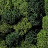 Lichen mousse vert 75g - Toutes échelles-NOCH 08621