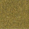 Tapis prairie vert clair-Toutes échelles-AUHAGEN 75113